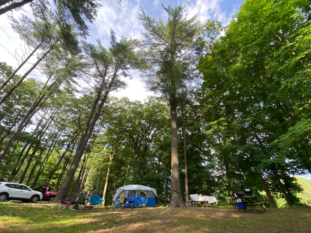 Family campsite