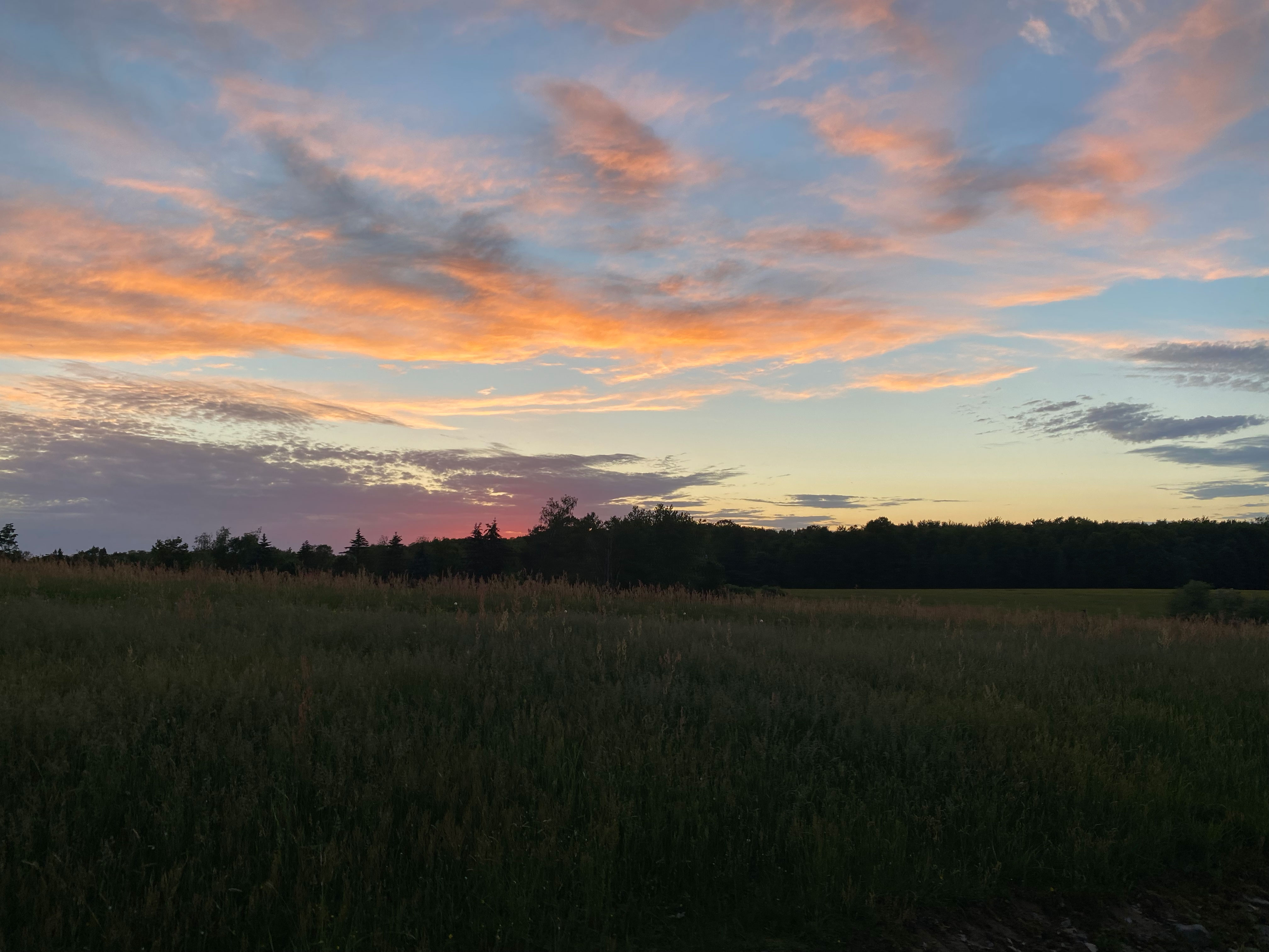 sunset over the field