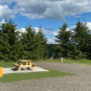 Full Hookup RV / Tent Site 4