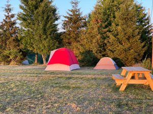 Tent Site