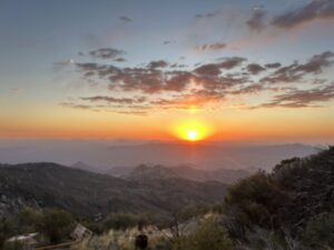 Arizona