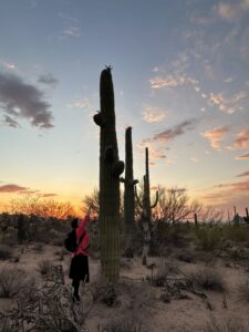 Arizona