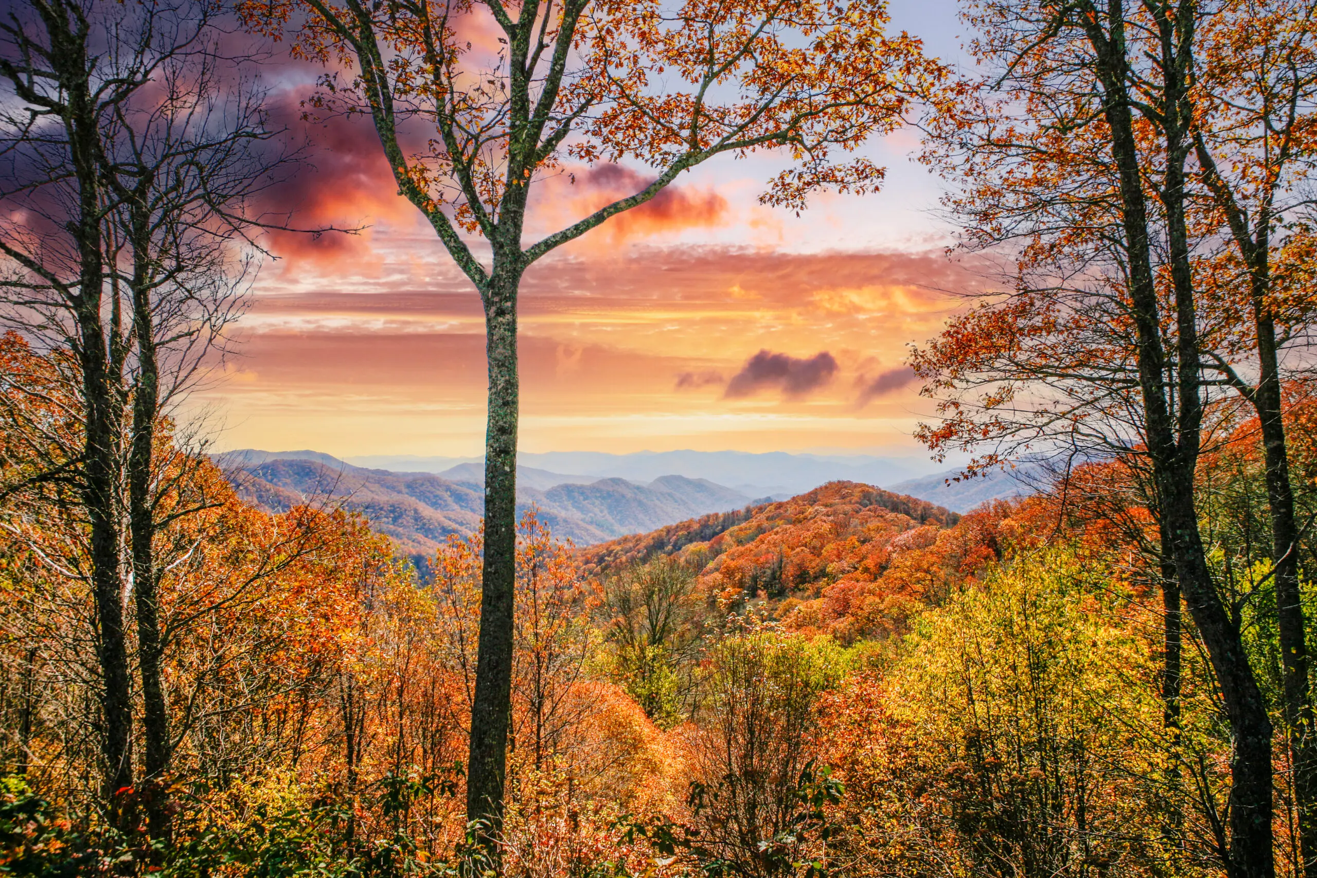 Shenandoah fall foliage hiking